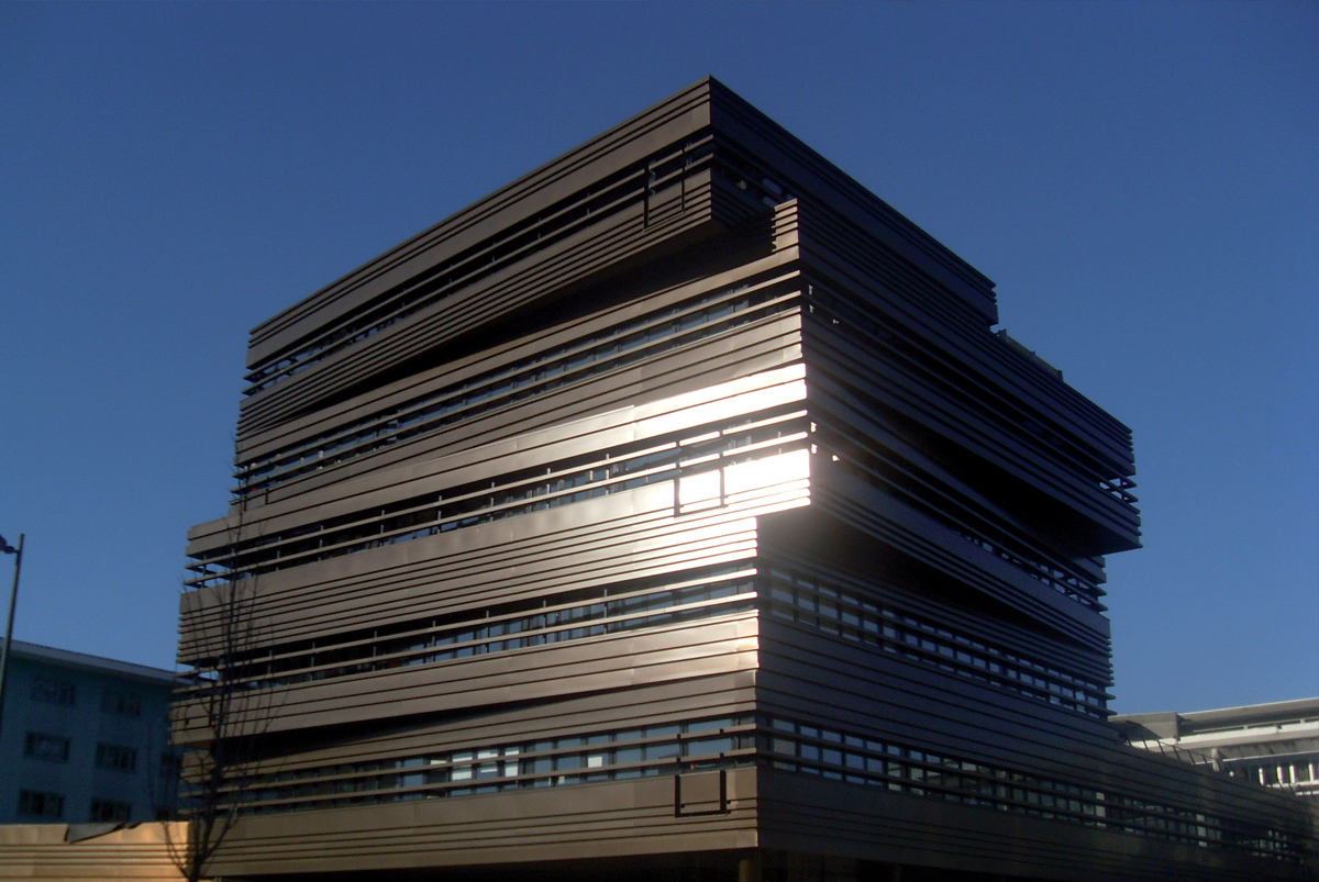 Image 4